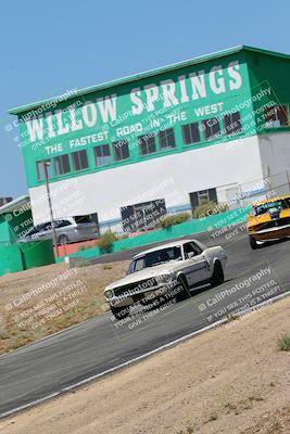 media/May-07-2022-Cobra Owners Club of America (Sat) [[e681d2ddb7]]/White/Session 1 (Turn 4)/